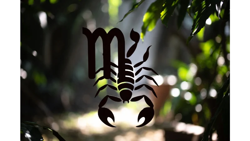 Scorpio Daily Horoscope for February 6, 2026